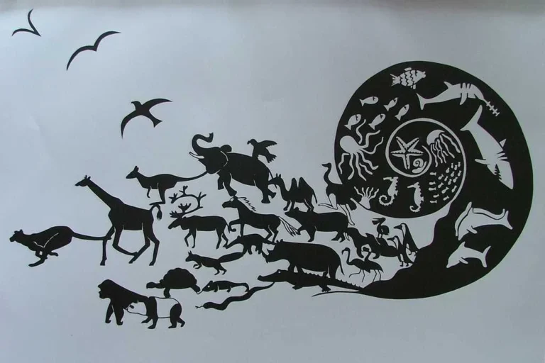 2002-004 Evolution