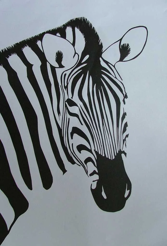 2002-010 Zebra Portrait