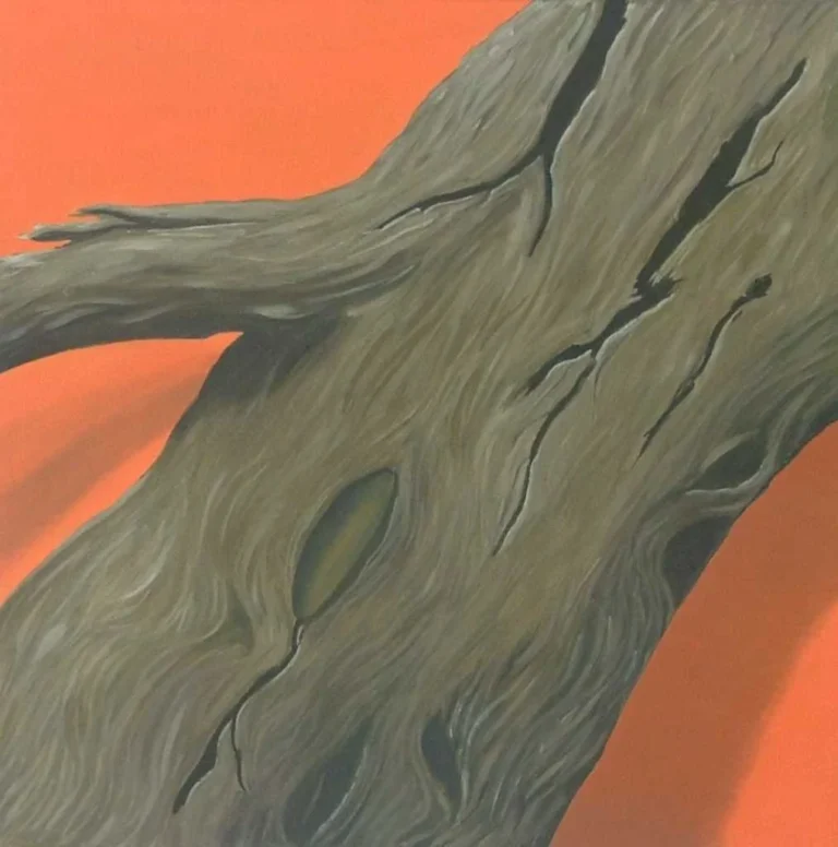 2005-006 Toter Baum