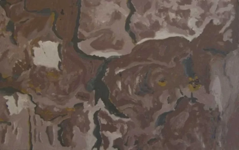 2006-004