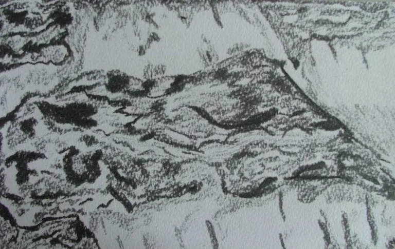 2006-010