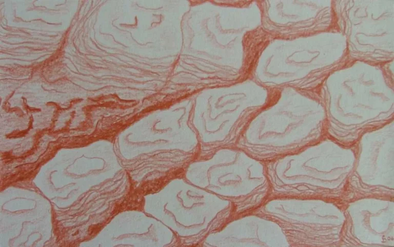 2006-011