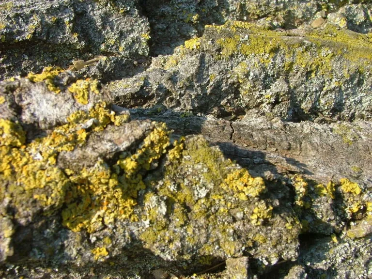 2006-016
