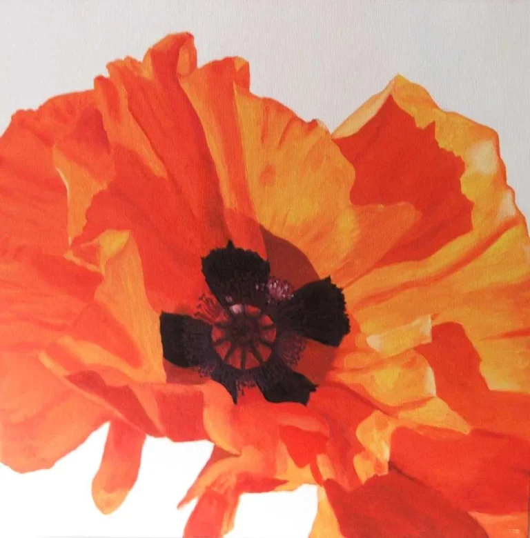 2012-001-Mohn-rot