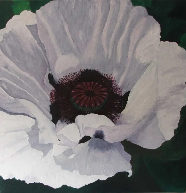 2012-002-Mohn-weiss
