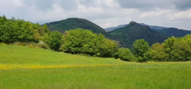 4 bis 10 Mai 2018 – Woche 3 – Von Le Bouchet-St-Nicolas nach Retournac