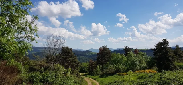 11 bis 17 Mai 2018 – Woche 4 – Von Retournac bis zum Kloster Notre Dame de l’Hermitage