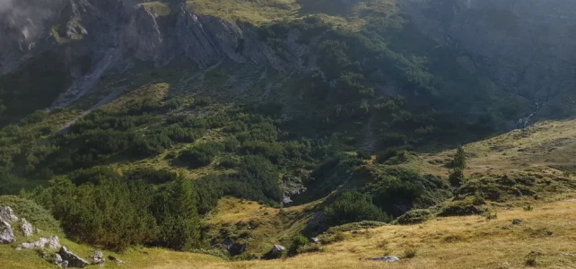 19 Sep 2019 Arosa – Wiesen
