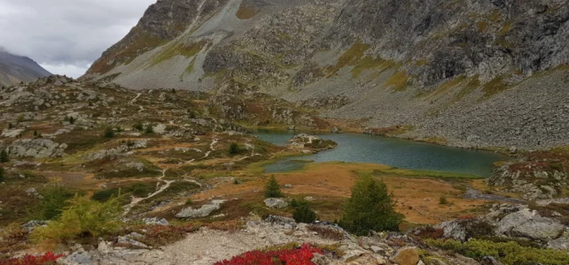 22 Sep 2019 Preda – Spinas