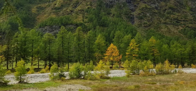 25 Sep 2019 Bernina – Poschiavo