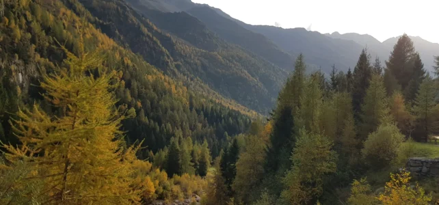22 Okt 2019 Berzo-Demo – Malga Lincino
