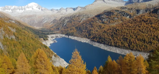 23 Okt 2019 Malga Lincino – Diga Malga Bissina