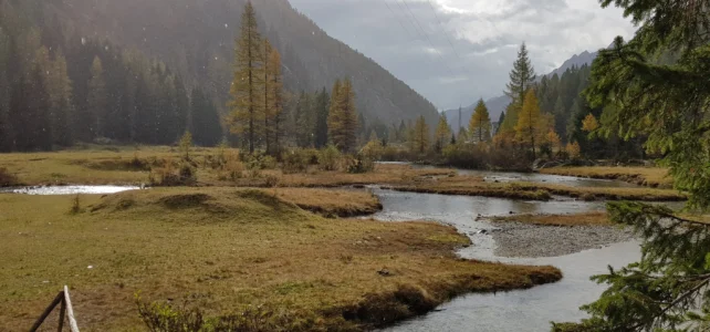 24 Okt 2019 Diga Malga Bissina – Vermongoi